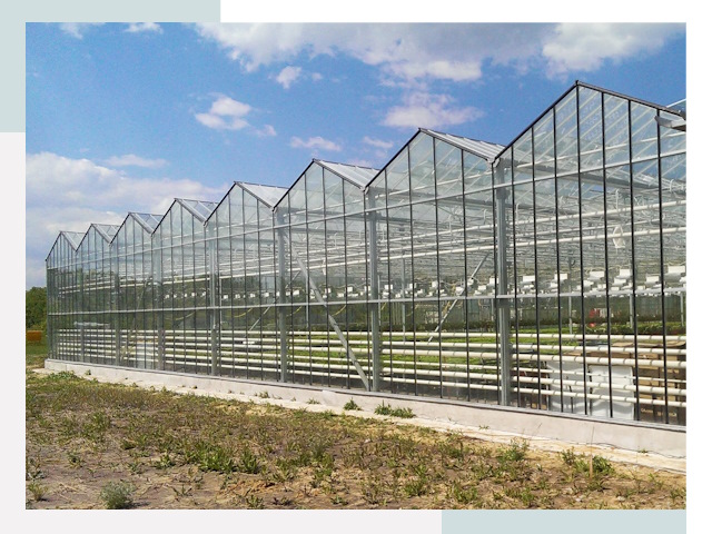Строительство теплиц в Тобольск от 610 руб. за м²